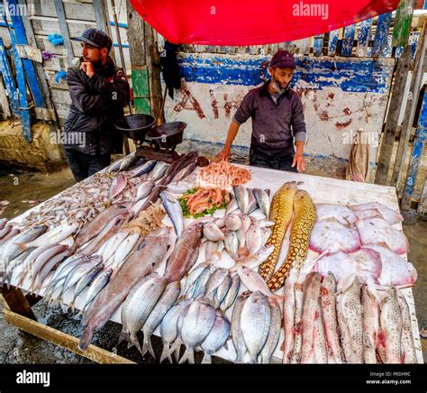 Essaouira Fish Market Port