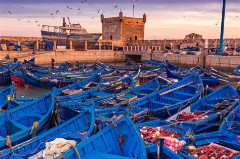 Essaouira Quad Bike Rundown
