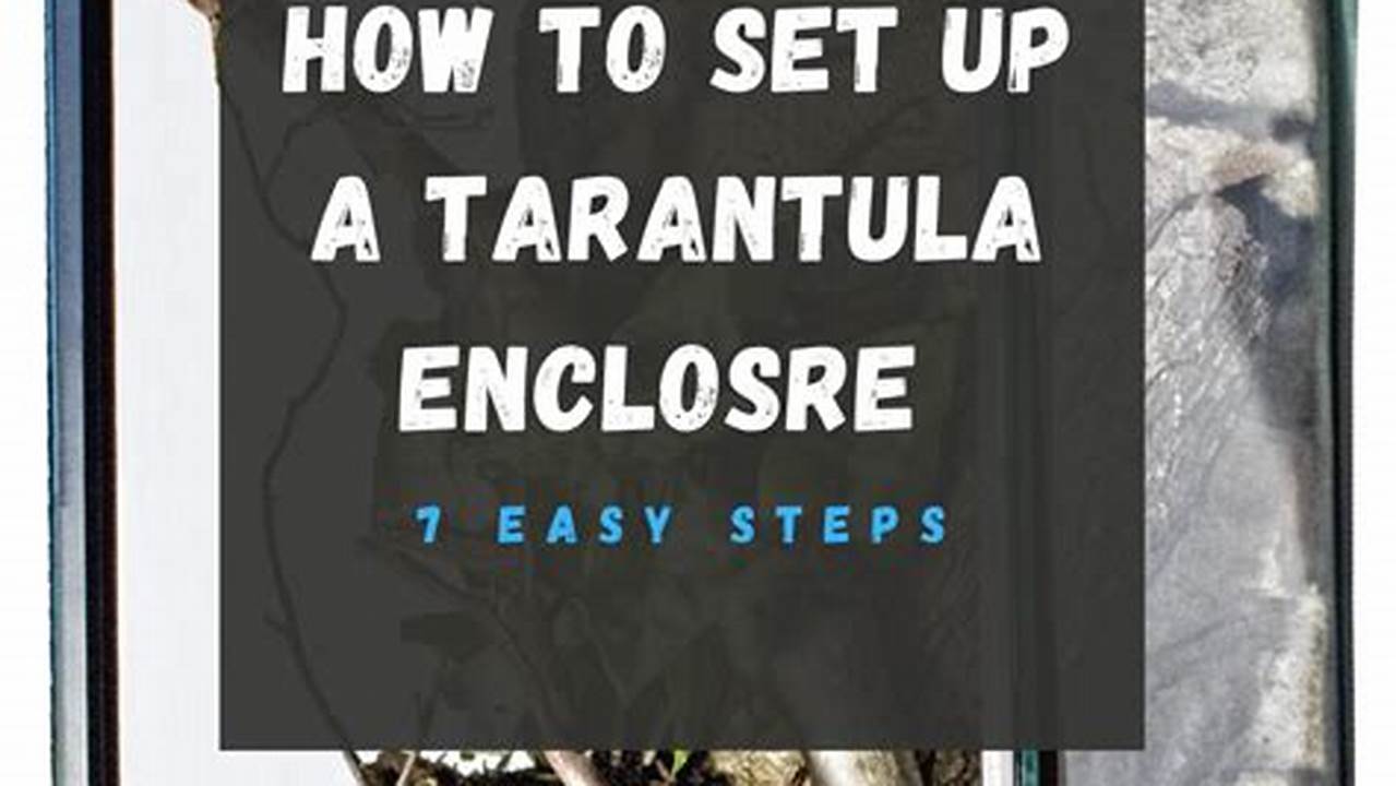 Essential Supplies for Setting Up a Tarantula Habitat