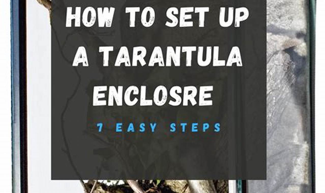Essential Supplies for Setting Up a Tarantula Habitat