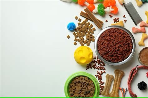 Essential Amenities for Humans and Canines