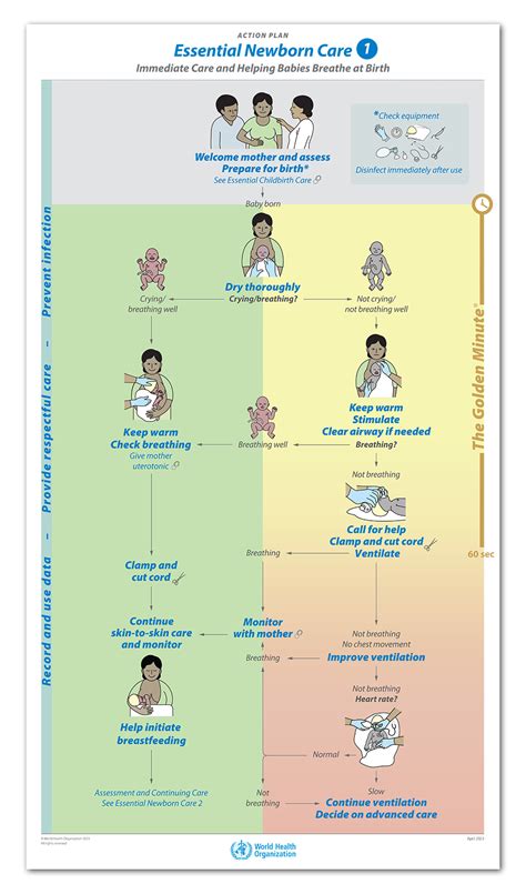 Essential Care & Maintenance for Vibrant Green Locks