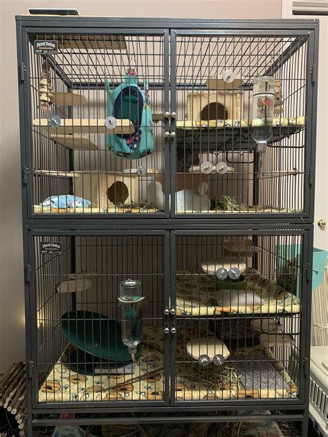 Essential Chinchillacage Accessories