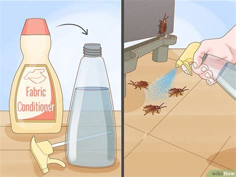 Essential Cleaning Tips to Deter Roaches