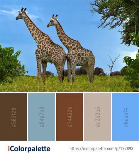 Essential Colour Palette for a Realistic Giraffe