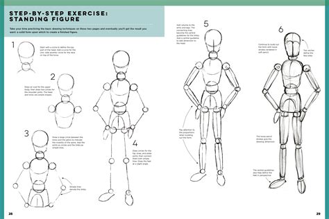 Essential Drawing Techniques for the Human Figure