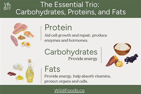 Essential Fats and Carbs