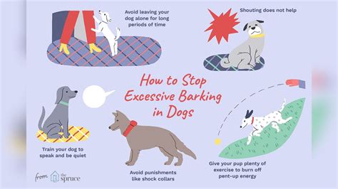 Essential First Steps in Dog Training Bark Management