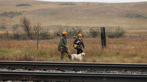 Essential Gear Before You Get In Car
