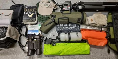 Essential Gear Birdwatching