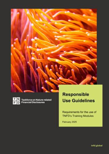 Essential Guidelines for Responsible Use