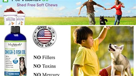 Essential Ingredients for Dog Food Shedding Prevent