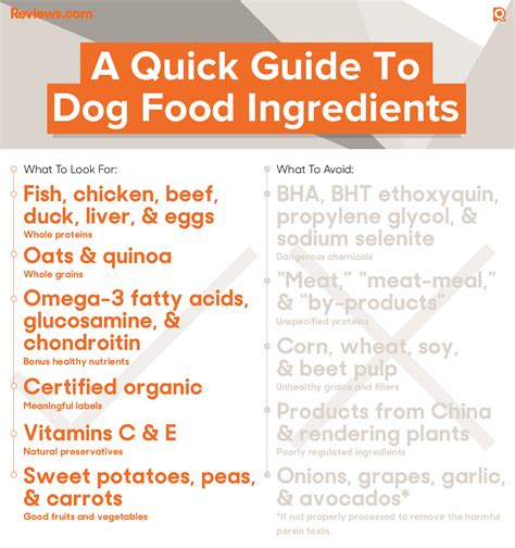 Essential Ingredients for Healthy Dog Food