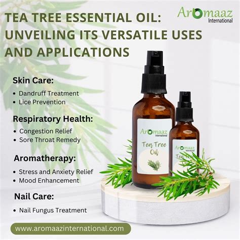 Essential Ingredients to Look For (Beyond Tea Tree)