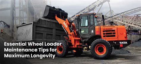 Essential Maintenance Tips for Maximum Bundle Longevity