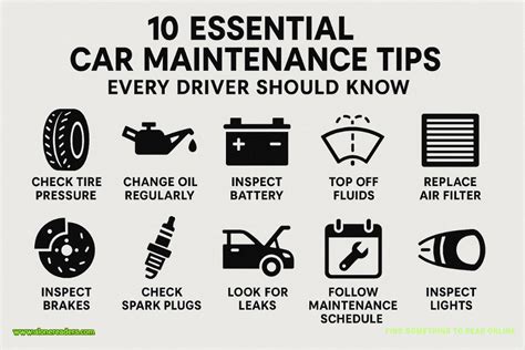 Essential Maintenance and Care Tips for Longevity