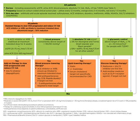 Essential Medications in T2D CKD Management