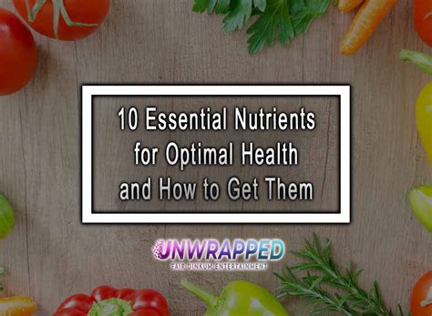Essential Nutrients for Optimal Health