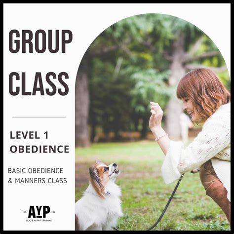 Essential Obedience Training