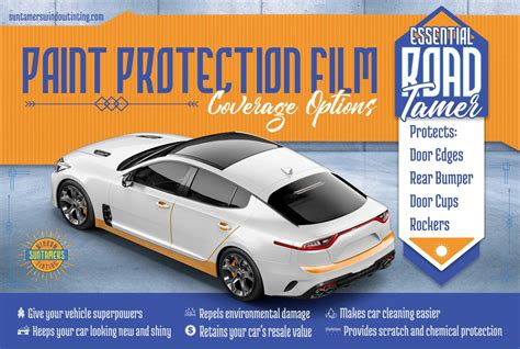 Essential Paint Protection Options