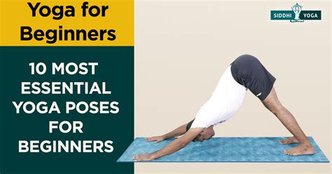 Essential Poses for Beginners