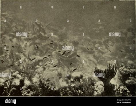 Essential Practical Information