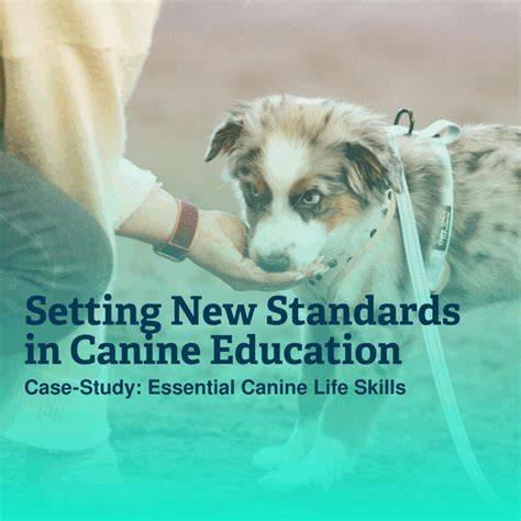 Essential Qualifications for a Canine Handler