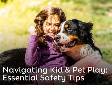 Essential Safety Tips for Dog Play Places