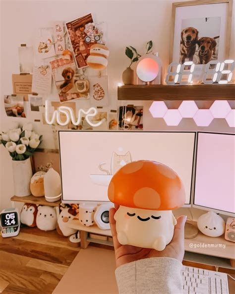 Essential Setup Costs for Your New Friend