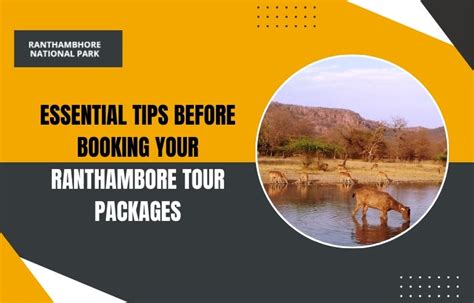 Essential Tips Before Booking