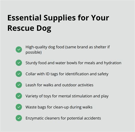 Essential Tips for Bringing Home a Rescue Dog