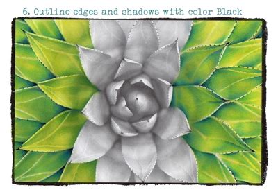 Essential Tips for Coloring Success