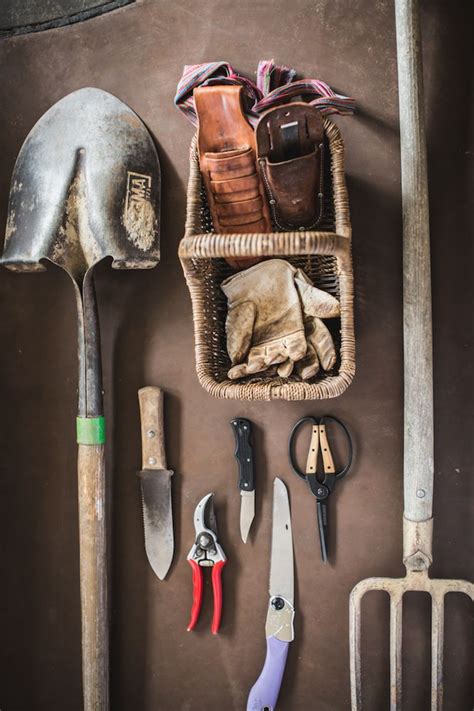 Essential Tools and Equipment for Foraging
