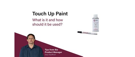 Essential Tools and Features of Paint Dsi