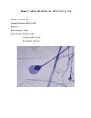 Essential Tools for Colouring Your Mycological Masterpiece