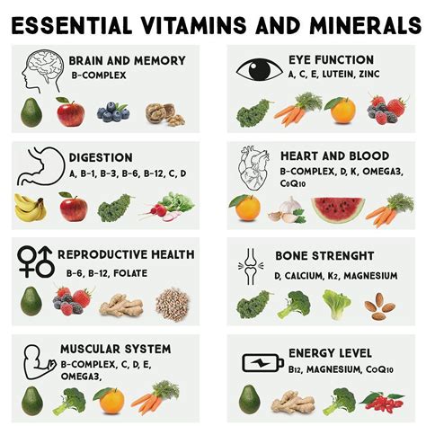 Essential Vitamins and Minerals