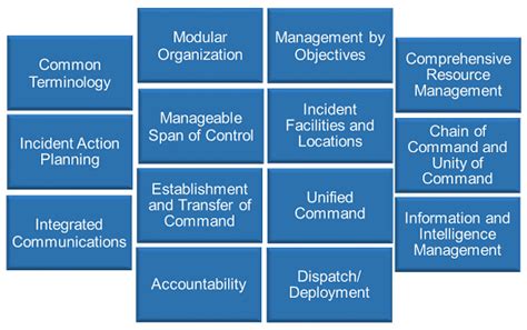 Essential traits of NIM management