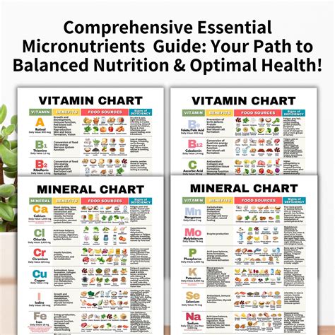 Essential Micronutrients and BCAAs
