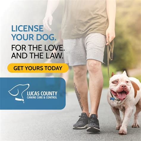 Essential Rules: Licensing Your Lucas County Dog