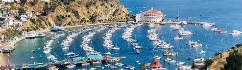 Essentials for Catalina Adventure