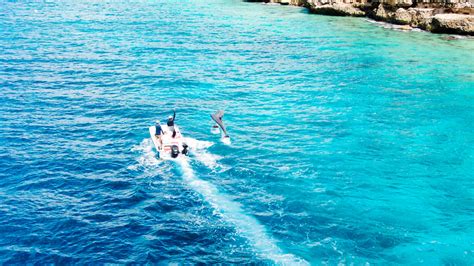 Essentials for Dolphin Visit