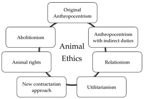 Ethical Considerations in Animal Training