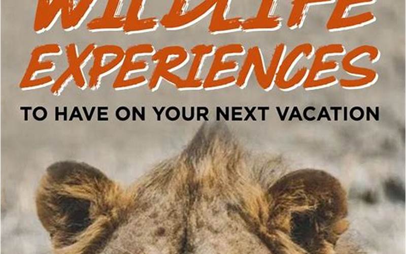 Ethical Wildlife Experiences