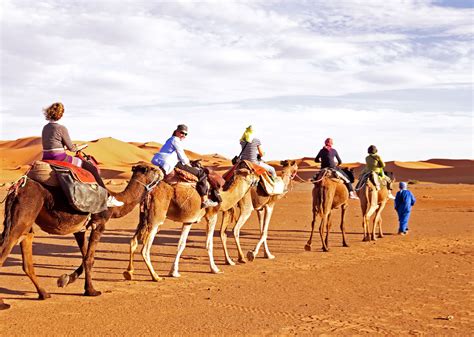 Ethical Camel Tourism