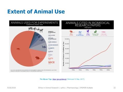 Ethical Concerns in Animal Testing