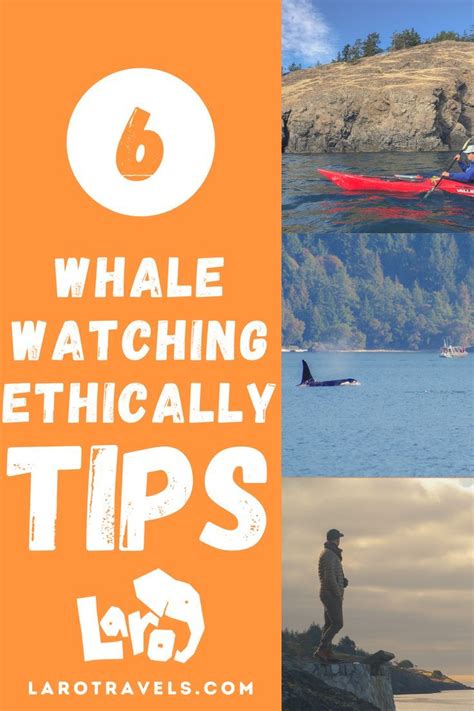Ethical Considerations for Whale Watching