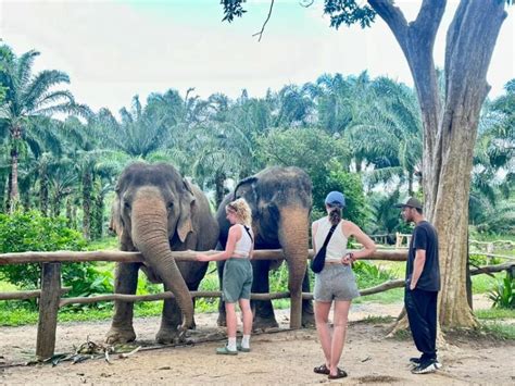 Ethical Elephant experience