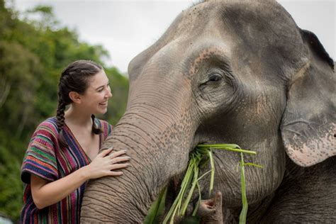 Ethical Elephant interaction