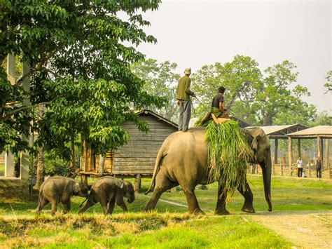 Ethical Tourism Chitwan