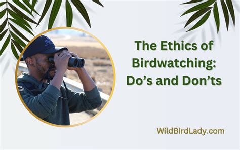 Ethical birdwatching tips